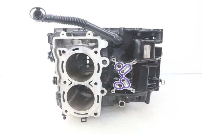 photo de ENGINE CRANKCASE BMW F GS K81 850 (2018 - 2023)