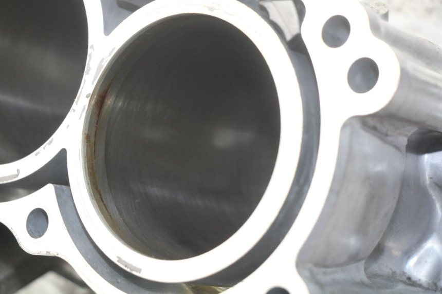photo de ENGINE CRANKCASE HONDA INTEGRA NC D 750 (2016 - 2018)