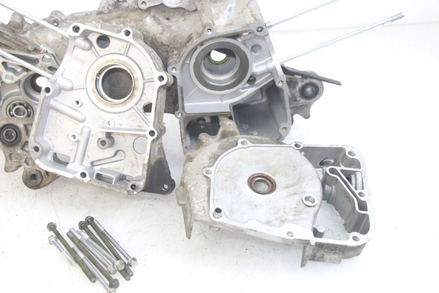 photo de ENGINE LOWER CASING JM MOTORS EVOLIS 4T 50 (2018 - 2022)