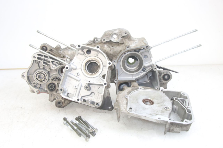 photo de ENGINE LOWER CASING JM MOTORS EVOLIS 4T 50 (2018 - 2022)