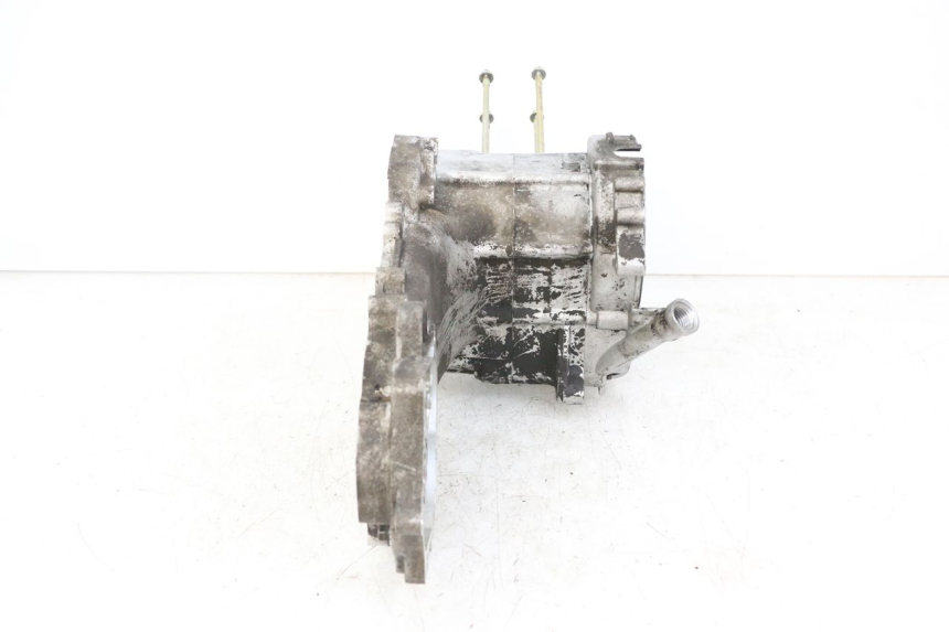 photo de ENGINE LOWER CASING LONGJIA DIGITA 4T 50 (2019 - 2022)