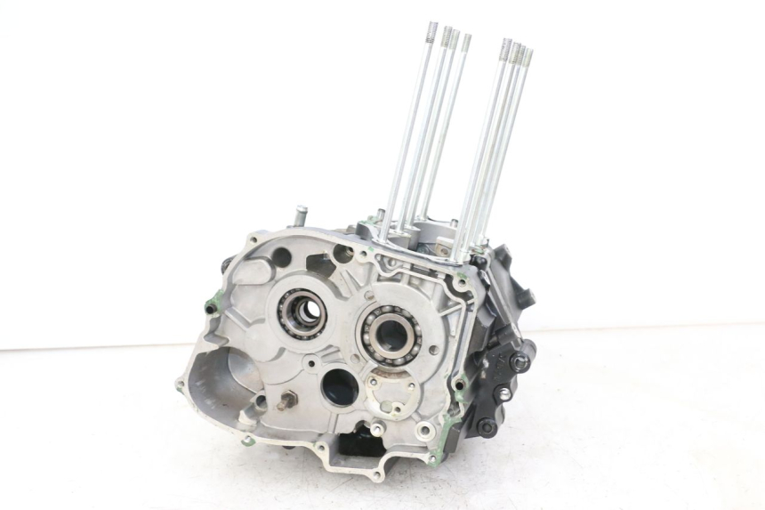 photo de ENGINE CRANKCASE REGAL RAPTOR RAXTER 2 125 (2007 - 2015)