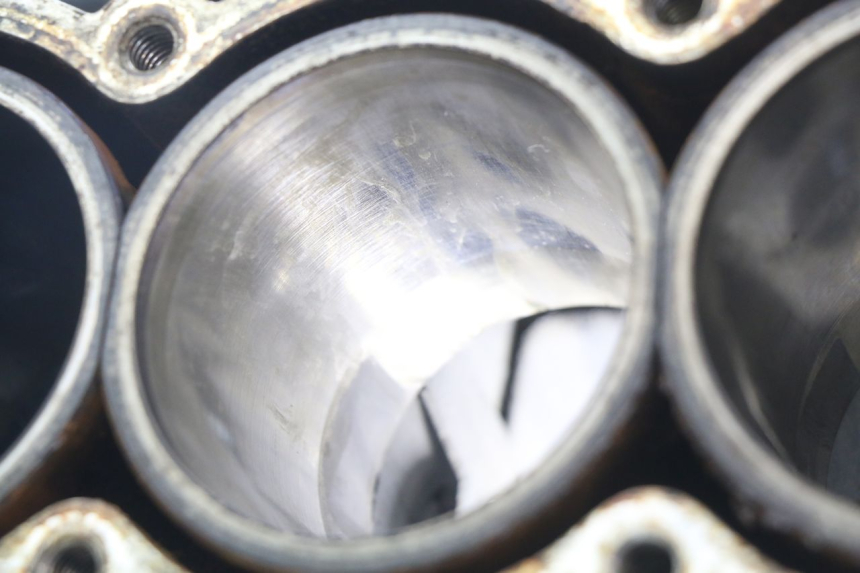 photo de ENGINE LOWER CASING TRIUMPH SPRINT ST 955 (1999 - 2001)