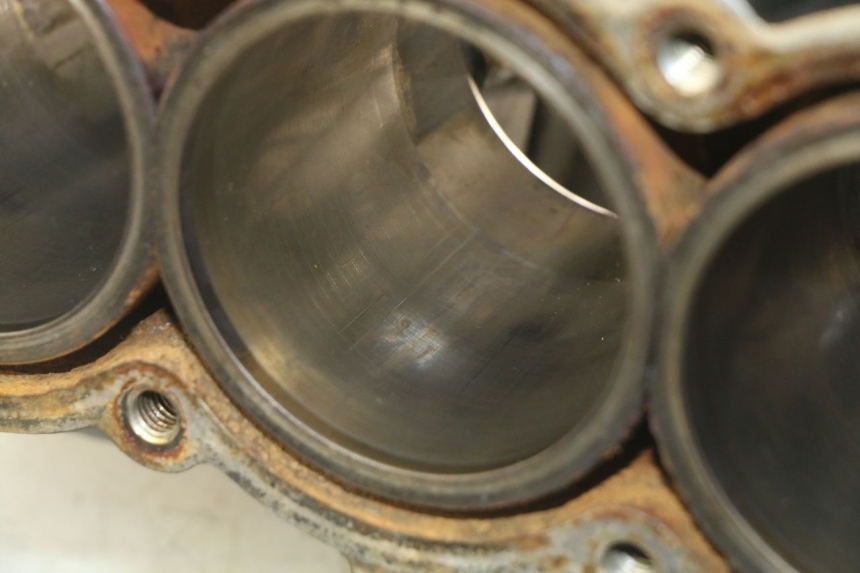 photo de ENGINE LOWER CASING TRIUMPH SPRINT ST 955 (1999 - 2001)