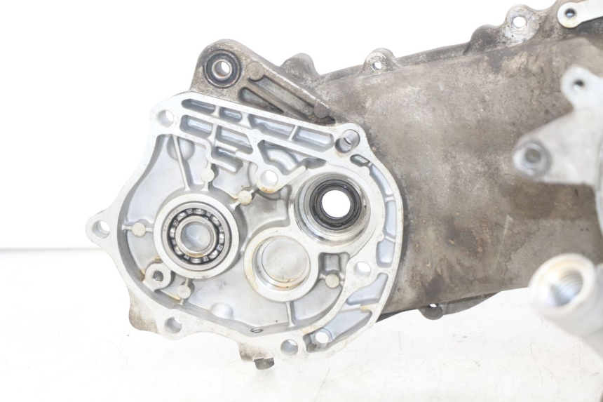 photo de ENGINE LOWER CASING TNT MOTOR ROMA 10' 4T 50 (2019 - 2022)