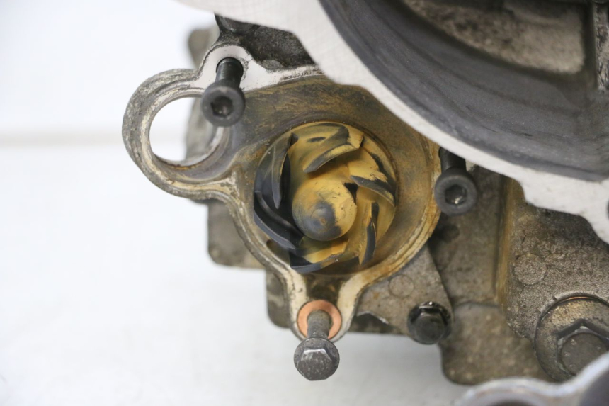 photo de ENGINE LOWER CASING YAMAHA X-MAX XMAX 250 (2006 - 2009)