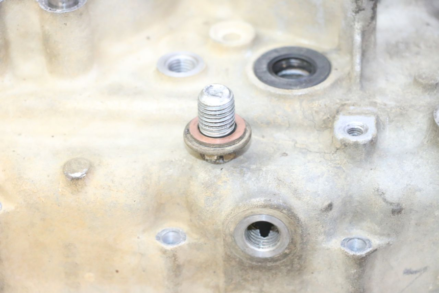 photo de ENGINE CRANKCASE YAMAHA YFM R RAPTOR 250 (2008 - 2014)