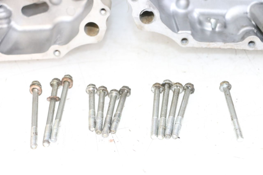 photo de ENGINE CRANKCASE YAMAHA YFM R RAPTOR 250 (2008 - 2014)