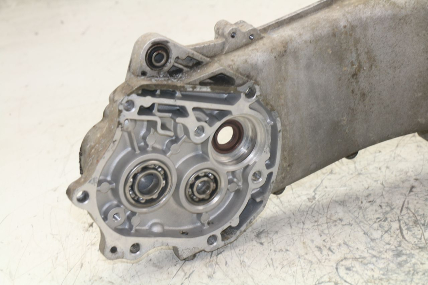 photo de ENGINE CRANKCASE ZNEN NEW ROLANDO 50 (2010 - 2020)