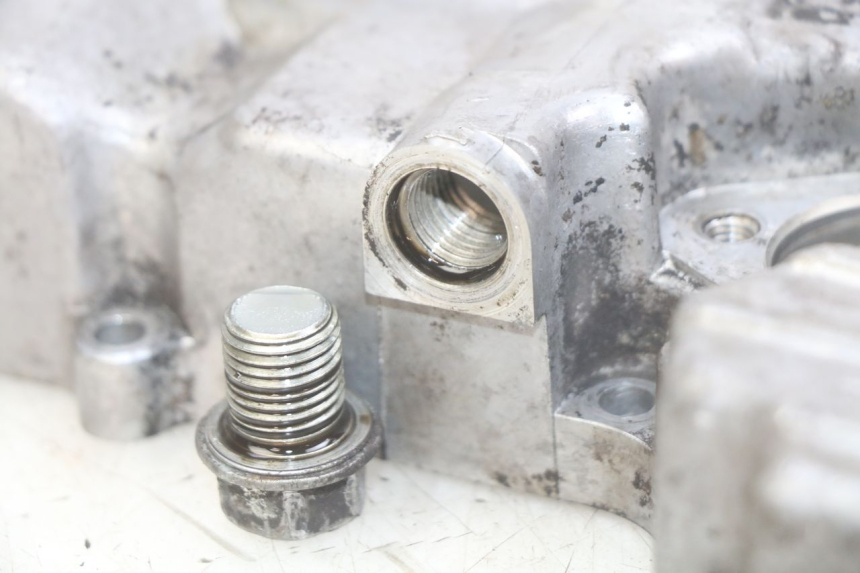 photo de OIL PAN YAMAHA FZS FAZER 600 (1998 - 2001)