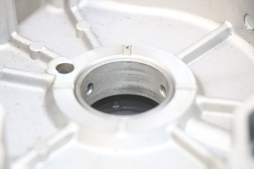 photo de LEFT ENGINE CASE APRILIA SCARABEO LIGHT 125 (2007 - 2011)