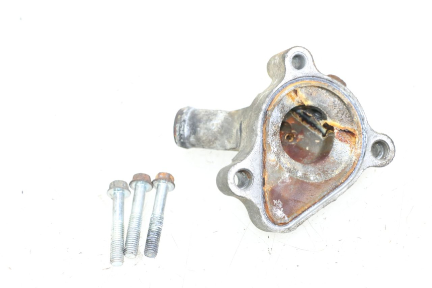 photo de WATER PUMP COVER HONDA FES PANTHEON 2T 125 (1998 - 2002)