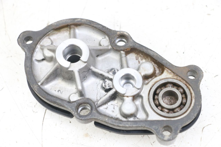 photo de FREEWHEEL HOUSING HONDA TRX 300 (1988 - 2000)