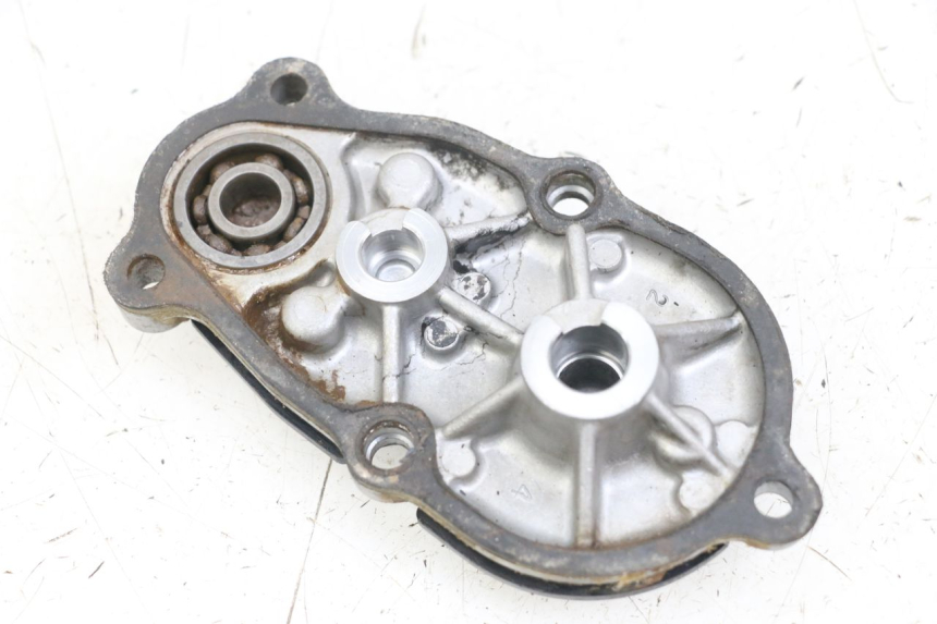 photo de FREEWHEEL HOUSING HONDA TRX 300 (1988 - 2000)