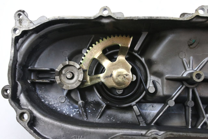 photo de DRIVE BELT COVER TNT MOTOR ROMA 10' 2T 50 (2011 - 2018)