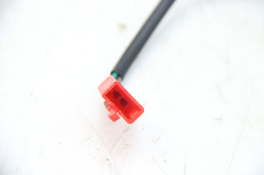 photo de FLASHING RELAY EUROCKA GTR 50 (2007 - 2017)