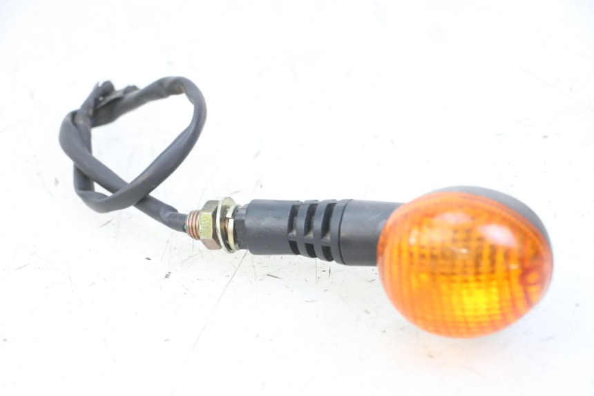 photo de REAR RIGHT TURN SIGNAL DAELIM BESBI 125 (2007 - 2008)