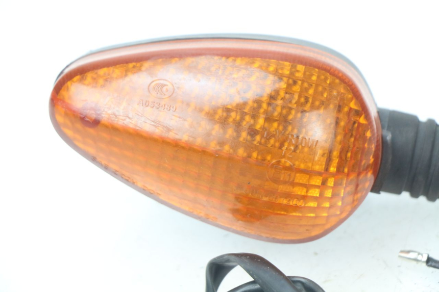 photo de REAR TURN SIGNAL ERIDER CARGO 1 (2009 - 2018)