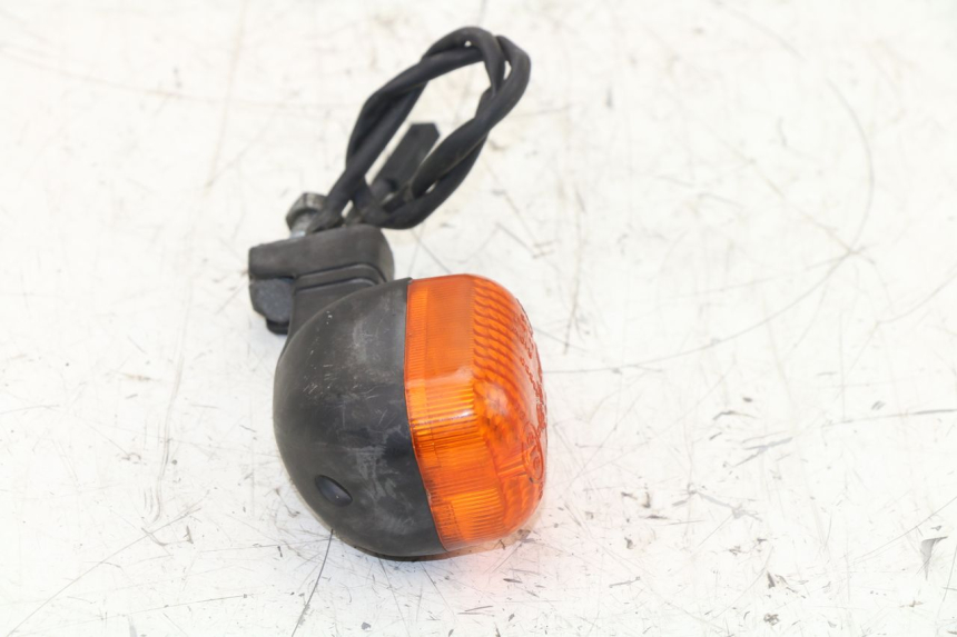 photo de LEFT REAR TURN SIGNAL BMW C1 125 (2000 - 2003)