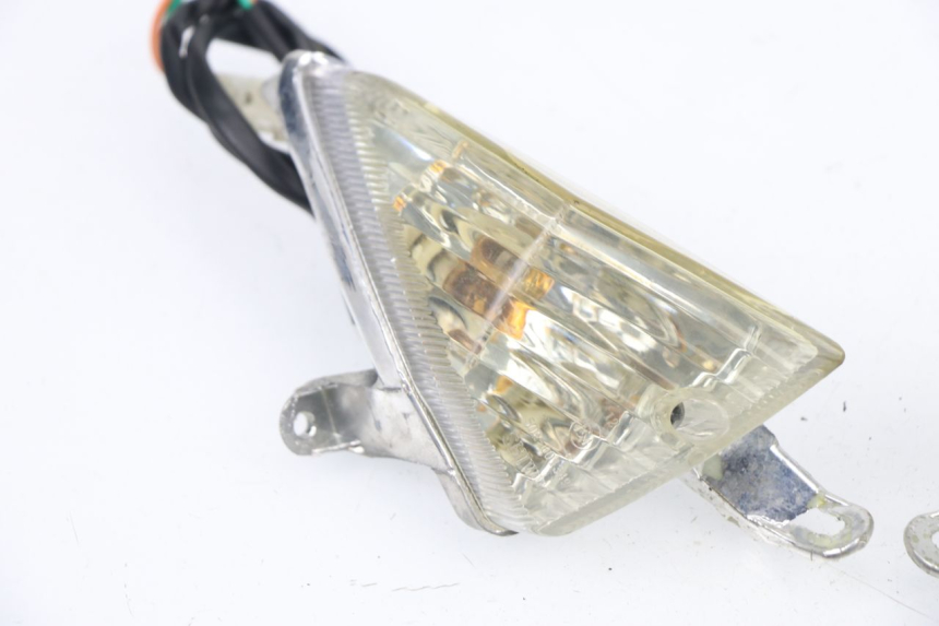 photo de REAR TURN SIGNAL ZNEN NEW ROLANDO 50 (2010 - 2020)