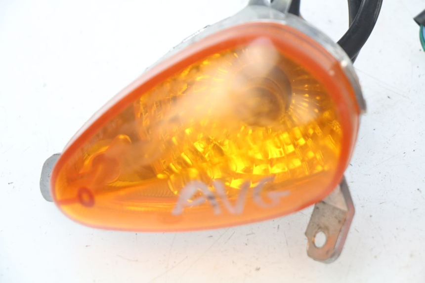 photo de FRONT TURN SIGNAL ERIDER CARGO 1 (2009 - 2018)