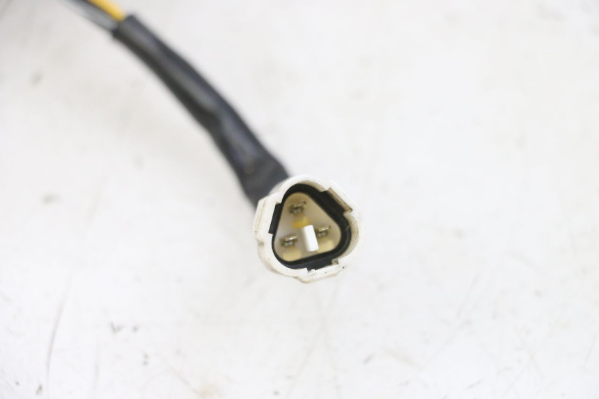 photo de SWITCH SUZUKI BURGMAN 650 (2013 - 2020)