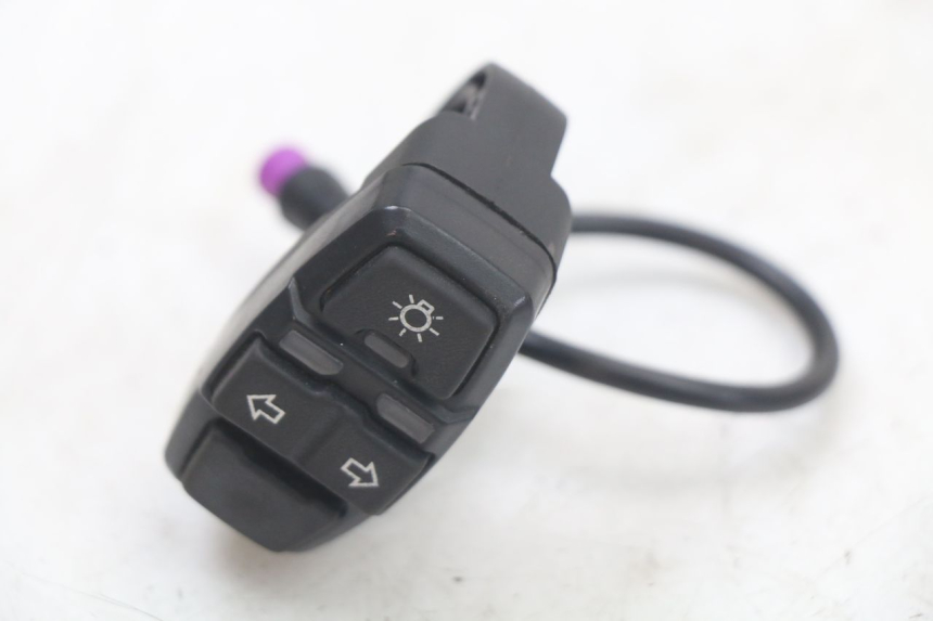 photo de TURN SIGNAL SWITCH DUALTRON TOGO PLUS 1