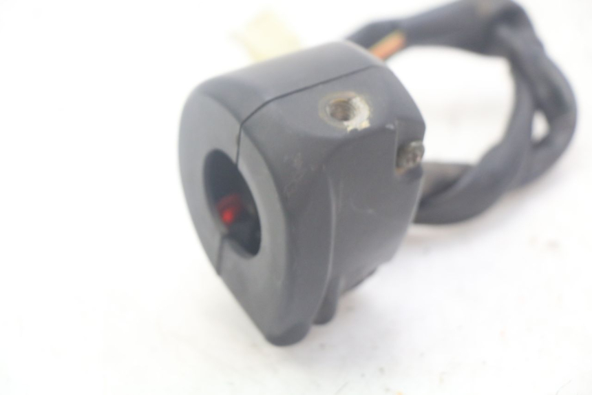 photo de RIGHT SWITCH DOLPHIN PYGMY 1 (2020 - 2024)