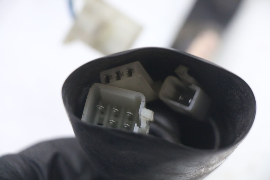 photo de SPEEDOMETER PEUGEOT TWEET PRO CARGO 50 (2018 - 2020)