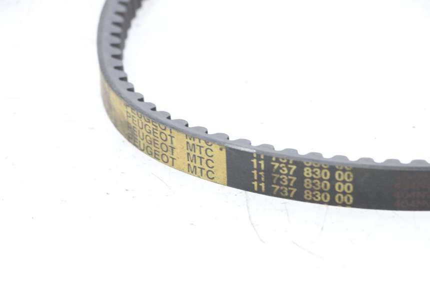photo de DRIVE BELT PEUGEOT ELYSEO 125 (1999 - 2004) - Alternative perspective