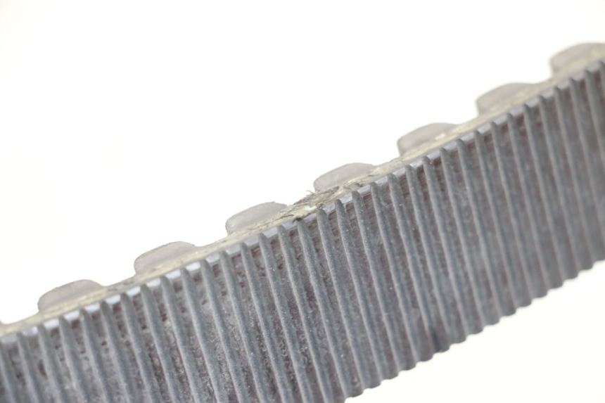 photo de DRIVE BELT HARLEY DAVIDSON SPORTSTER XL CUSTOM 1200 (2003 - 2004)