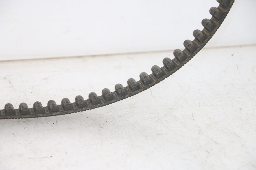 photo de DRIVE BELT HARLEY DAVIDSON SPORTSTER XL CUSTOM 1200 (2003 - 2004)