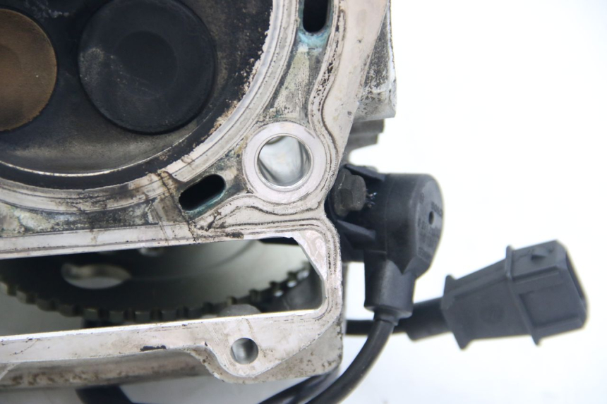 photo de CYLINDER HEAD APRILIA ATLANTIC 500 (2002 - 2003)
