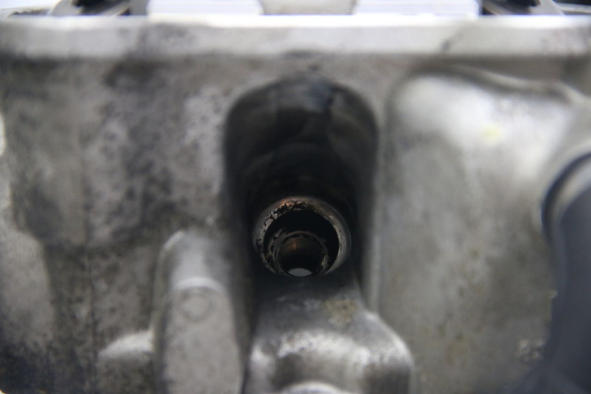 photo de CYLINDER HEAD APRILIA ATLANTIC 500 (2002 - 2003)