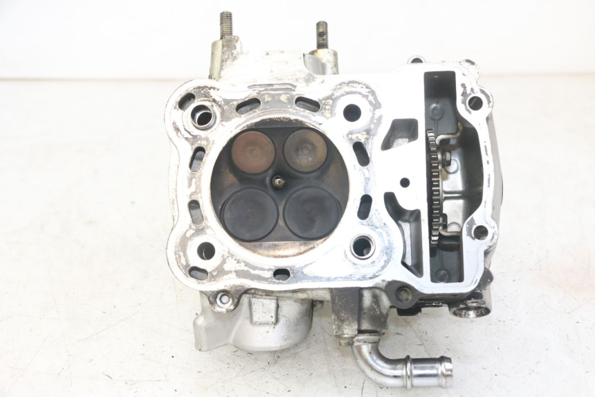 photo de REAR CYLINDER HEAD HONDA NTV DEAUVILLE ABS 700 (2007 - 2016)