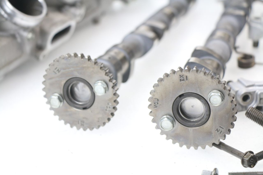 photo de CYLINDER HEAD HONDA CBR 929 RR FIREBLADE 900 (2000 - 2001)