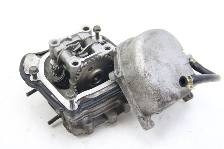 photo de CYLINDER HEAD LONGJIA DIGITA 4T 50 (2019 - 2022)