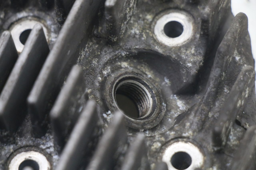 photo de CYLINDER HEAD PEUGEOT ELYSTAR 50 (2002 - 2014)