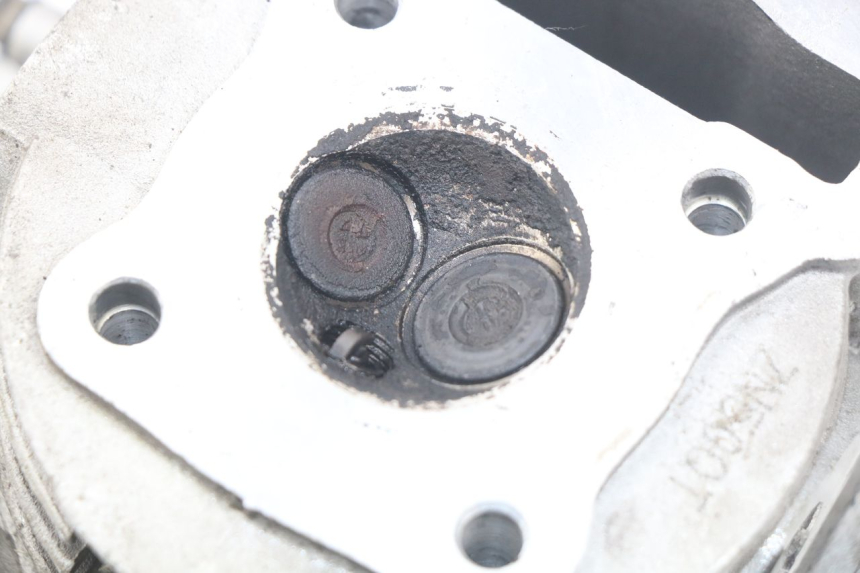 photo de CYLINDER HEAD TNT MOTOR ROMA 10' 4T 50 (2007 - 2018)