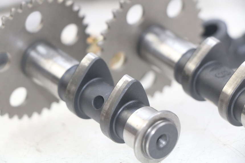 photo de CYLINDER HEAD APRILIA SCARABEO LIGHT 125 (2007 - 2011)