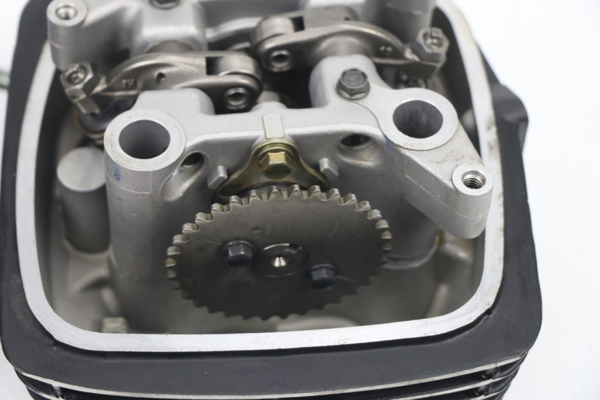 photo de CYLINDER HEAD MASAI SCRAMBLER 125 (2018 - 2020)