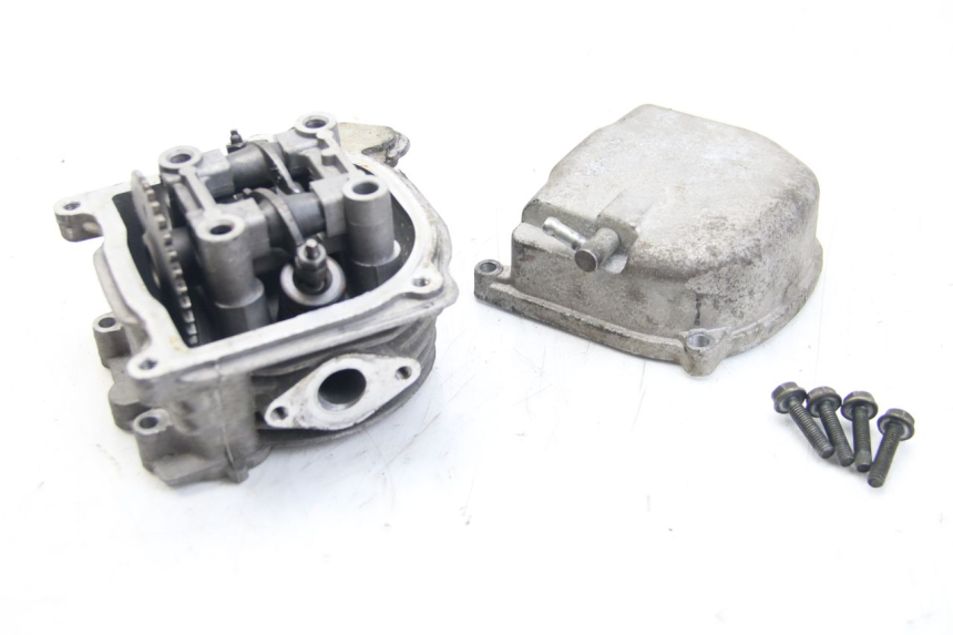 photo de CYLINDER HEAD TNT MOTOR ROMA 10' 4T 50 (2019 - 2022)