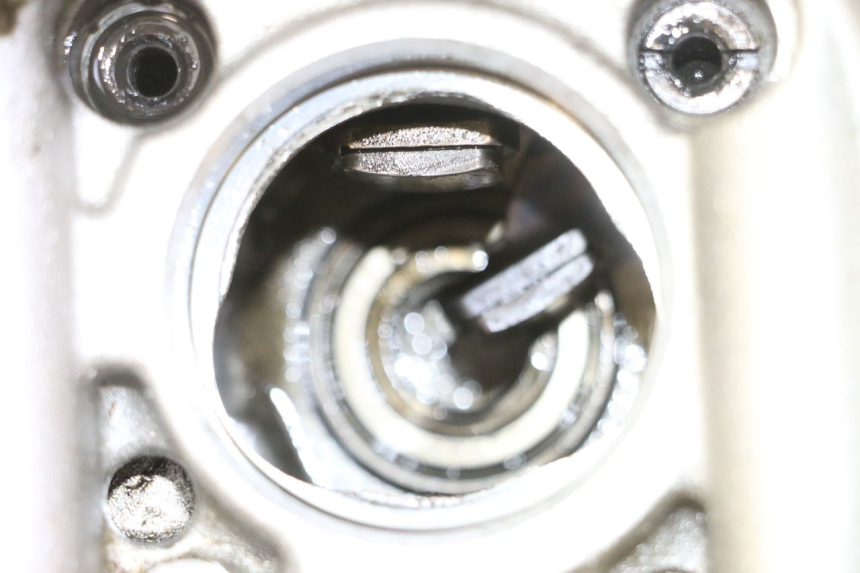 photo de CYLINDER HEAD YAMAHA YFM R RAPTOR 250 (2008 - 2014)