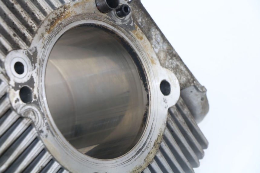 photo de CYLINDER BARREL DUCATI M796 MONSTER ABS 796 (2010 - 2014) - Distinctive features