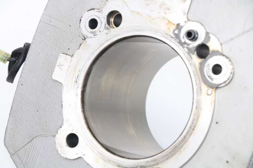 photo de CYLINDER BARREL DUCATI M796 MONSTER ABS 796 (2010 - 2014) - Component zoom