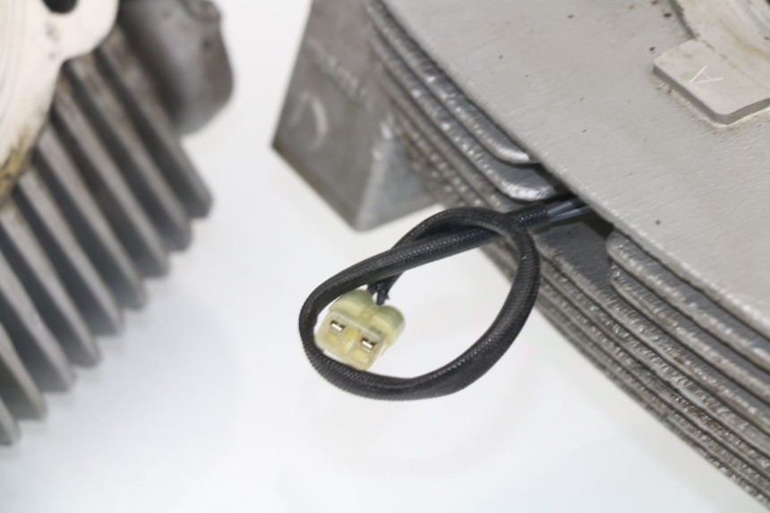 photo de CYLINDER BARREL DUCATI M796 MONSTER ABS 796 (2010 - 2014) - Alternative perspective