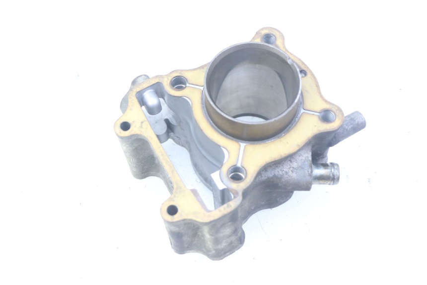 photo de CYLINDER HONDA FES PANTHEON 125 (2003 - 2007)