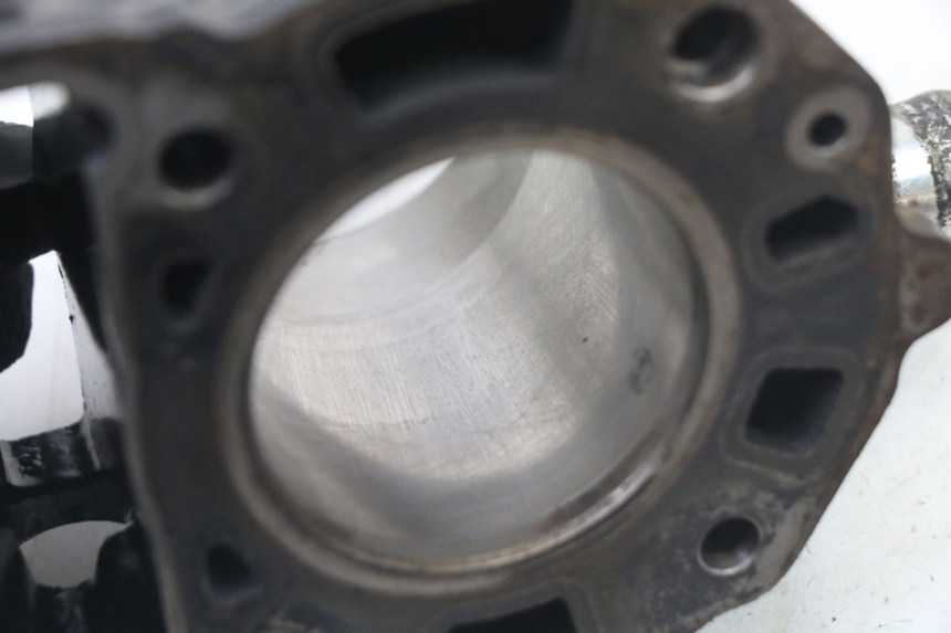 photo de CYLINDER BARREL PISTON APRILIA ATLANTIC 125 (2003 - 2009)