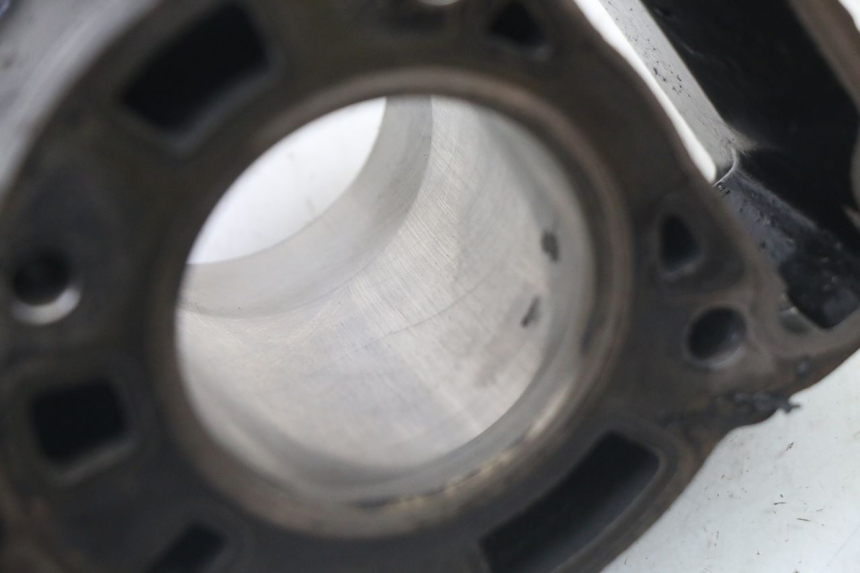 photo de CYLINDER BARREL PISTON APRILIA ATLANTIC 125 (2003 - 2009)
