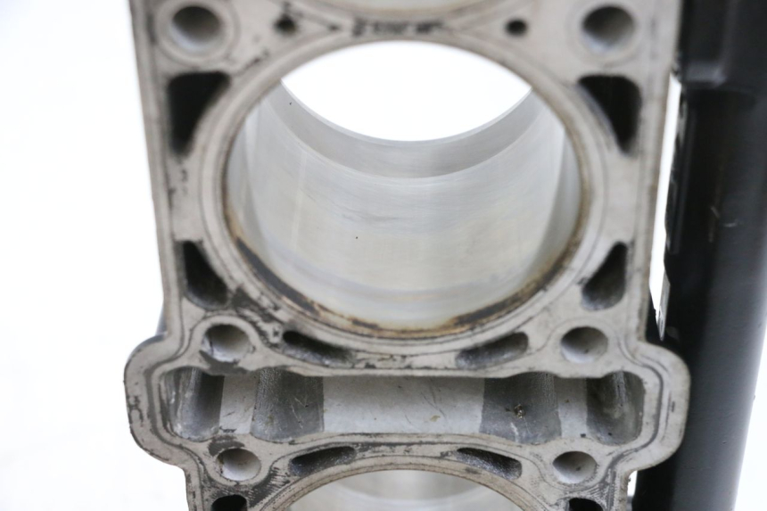 photo de CYLINDER BARREL PISTON MV AGUSTA BRUTALE R WALLY 910 (2008 - 2008) - Distinctive features